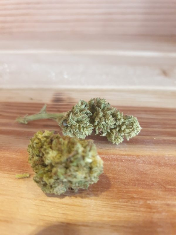 Fleur Mango Kush - achat en ligne ou en boutique - Grenier Verdoyant Mulhouse